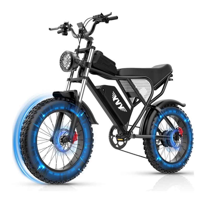 YVY Modèle : C20-48V 20AH